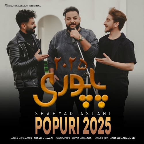 دانلود اهنگ شهیاد اصلانی پاپوری 2025